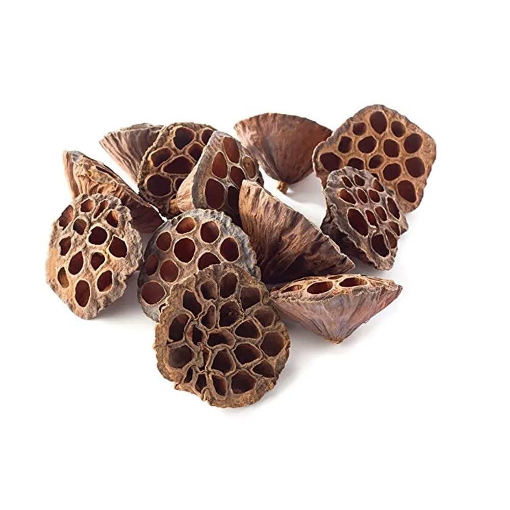 Package of 10 Mini Lotus Pod Heads For Crafting Hand Natural Dried Brown Lotus Pods No Stems
Package of 10 Mini Lotus Pod Heads For Crafting Hand Natural Dried Brown Lotus Pods No Stems
