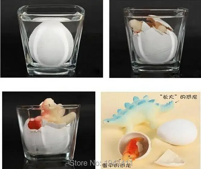 5Pcs/lot Large Size 5x6cm Magic Growing Fun Animal Dragon Dinosaur Egg toys educational child toys Water Expansion Hatching Egg
5Pcs/lot Large Size 5x6cm Magic Growing Fun Animal Dragon Dinosaur Egg toys educational child toys Water Expansion Hatching Egg