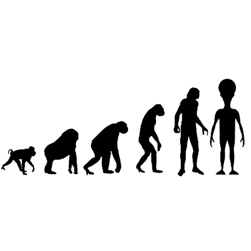 20cm*7.9cm Interesting Alien Evolution Vinyl Decal Car Sticker Black/Silver S6-3362
20cm*7.9cm Interesting Alien Evolution Vinyl Decal Car Sticker Black/Silver S6-3362