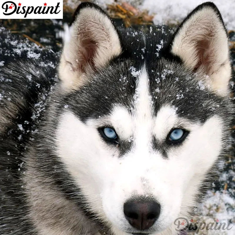Dispaint Full Square/Round Drill 5D DIY Diamond Painting "Animal wolf scenery" 3D Embroidery Cross Stitch 5D Home Decor A10287
Dispaint Full Square/Round Drill 5D DIY Diamond Painting "Animal wolf scenery" 3D Embroidery Cross Stitch 5D Home Decor A10287