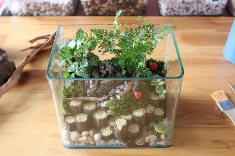 1pc Aquarium Decoration Wood Natural Trunk Driftwood Tree Aquarium Fish Tank Plant Stump Ornament Landscape Decor
1pc Aquarium Decoration Wood Natural Trunk Driftwood Tree Aquarium Fish Tank Plant Stump Ornament Landscape Decor