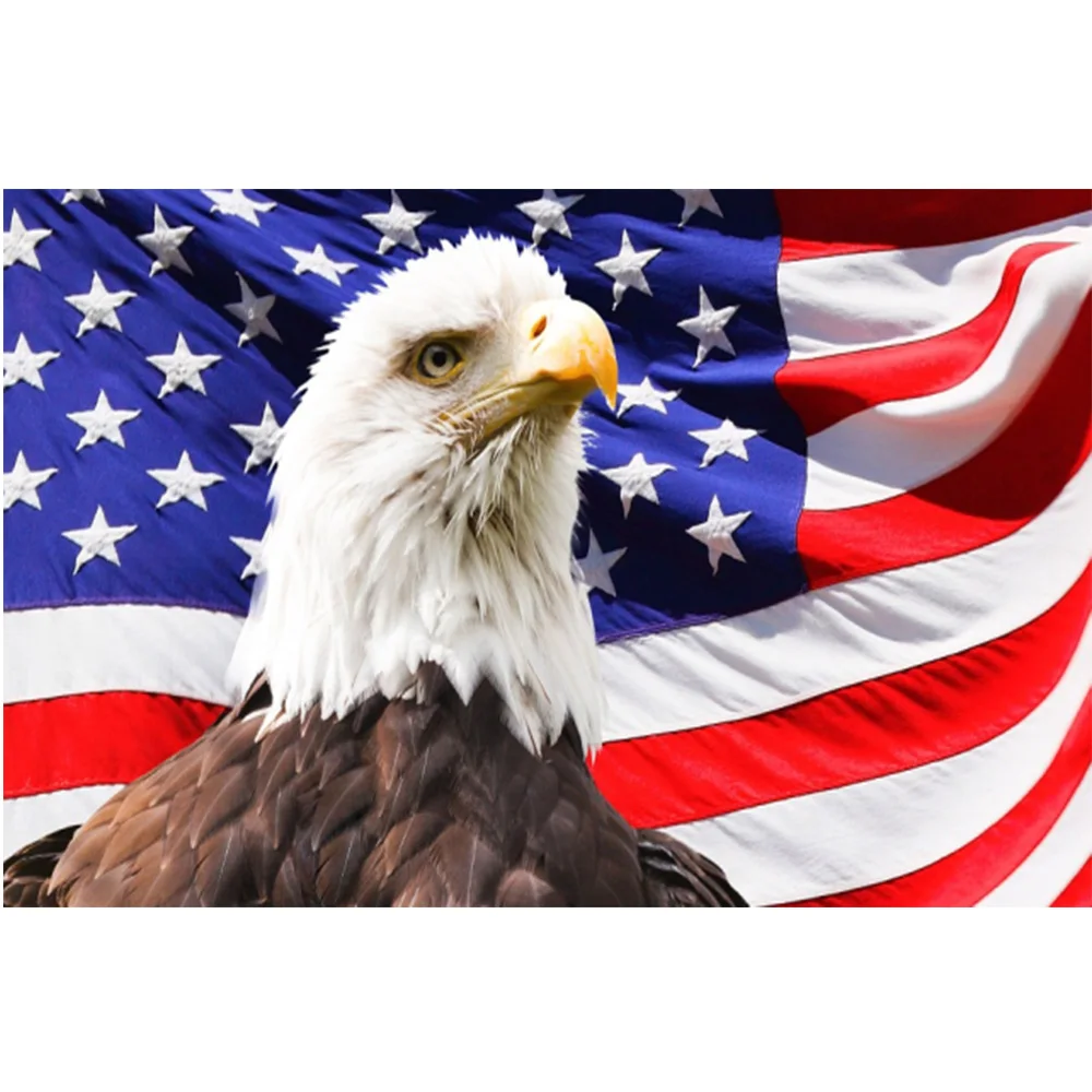 Алмазная вышивка, икона, картина из страз «сделай сам», американский флаг, Орел, полноразмерная Алмазная мозаика, картины для украшения дома...
Алмазная вышивка, икона, картина из страз «сделай сам», американский флаг, Орел, полноразмерная Алмазная мозаика, картины для украшения дома...