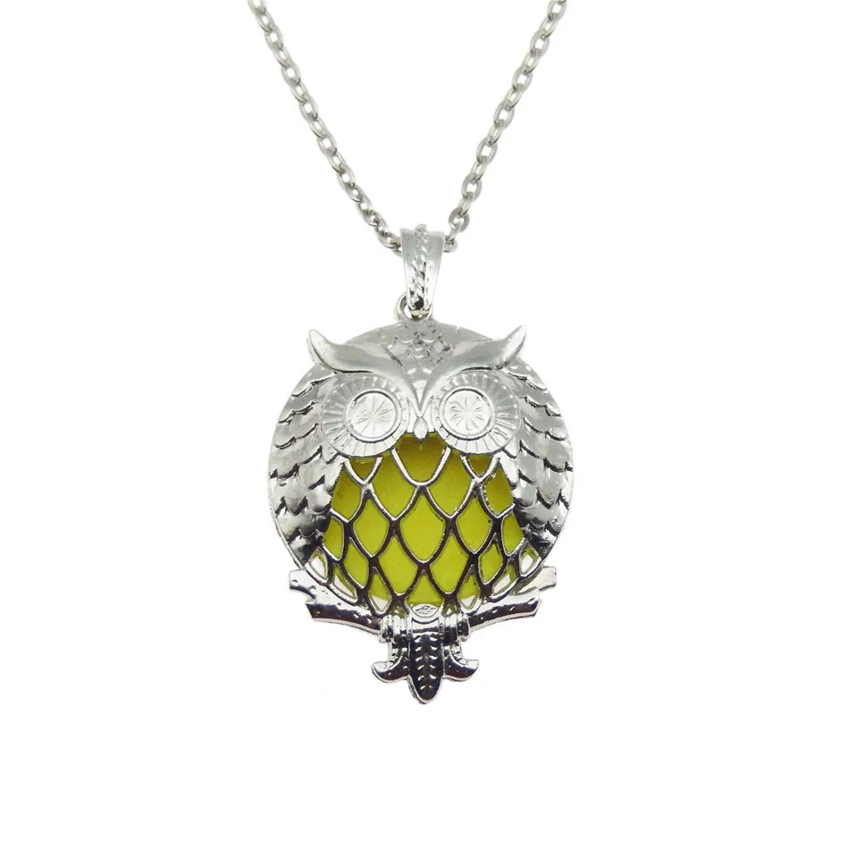 Charming Owl Stainless steel color Pearl Cage Pendants Aromatherapy Essential Oil Diffuser Jewelry NecklaceDIY Jewelry
Charming Owl Stainless steel color Pearl Cage Pendants Aromatherapy Essential Oil Diffuser Jewelry NecklaceDIY Jewelry