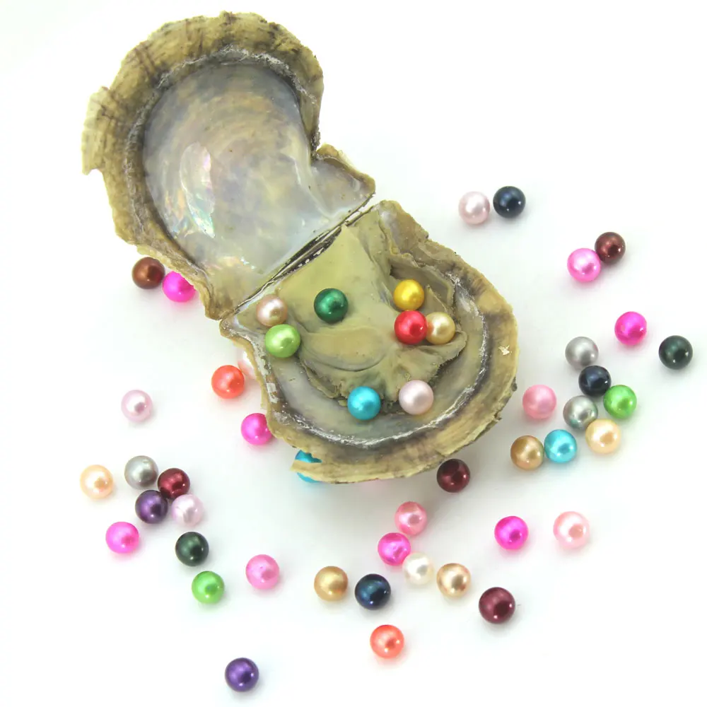 10/20/50/100Pcs Vacuum-Packed Round Pearls in Oyster Saltwater Pearl Oysters Natural Pearls Women's Birthday Wedding Gift EE055
10/20/50/100Pcs Vacuum-Packed Round Pearls in Oyster Saltwater Pearl Oysters Natural Pearls Women's Birthday Wedding Gift EE055
