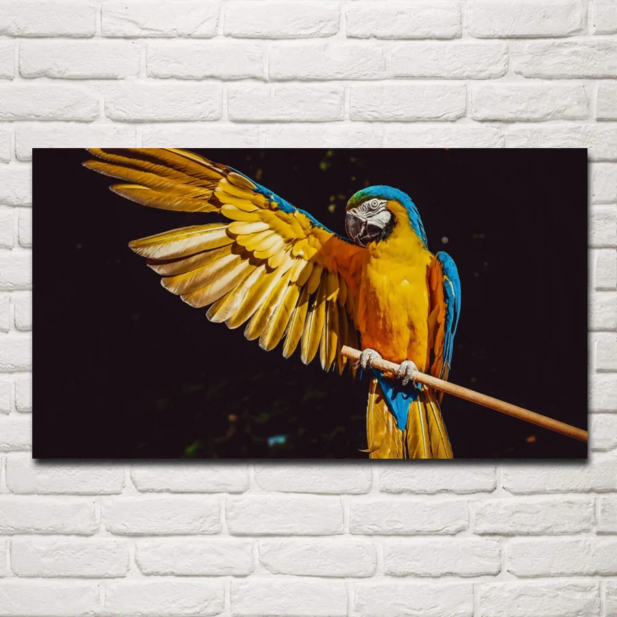 Beautiful macaw colorful parrot wings animal bird artwork fabric posters on wall picture home art living room decoration KG701
Beautiful macaw colorful parrot wings animal bird artwork fabric posters on wall picture home art living room decoration KG701