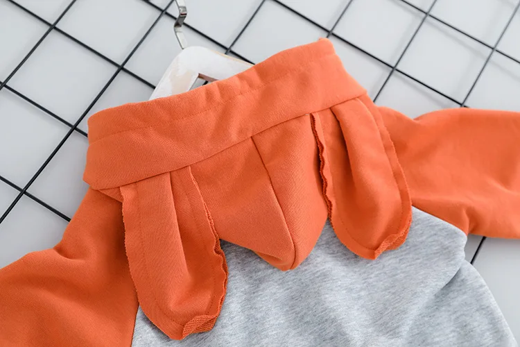 Baby Girls Sweatshirt Children Hoodies Cartoon Little Girls Clothes Set Kids Girls Hoodies Set Children Clothes Outfits Hoodies
Baby Girls Sweatshirt Children Hoodies Cartoon Little Girls Clothes Set Kids Girls Hoodies Set Children Clothes Outfits Hoodies