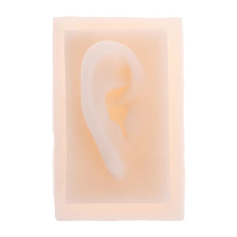 Right Ear Human Soft Silicone Right Ear Model Life Size Acupuncture Teaching model
Right Ear Human Soft Silicone Right Ear Model Life Size Acupuncture Teaching model