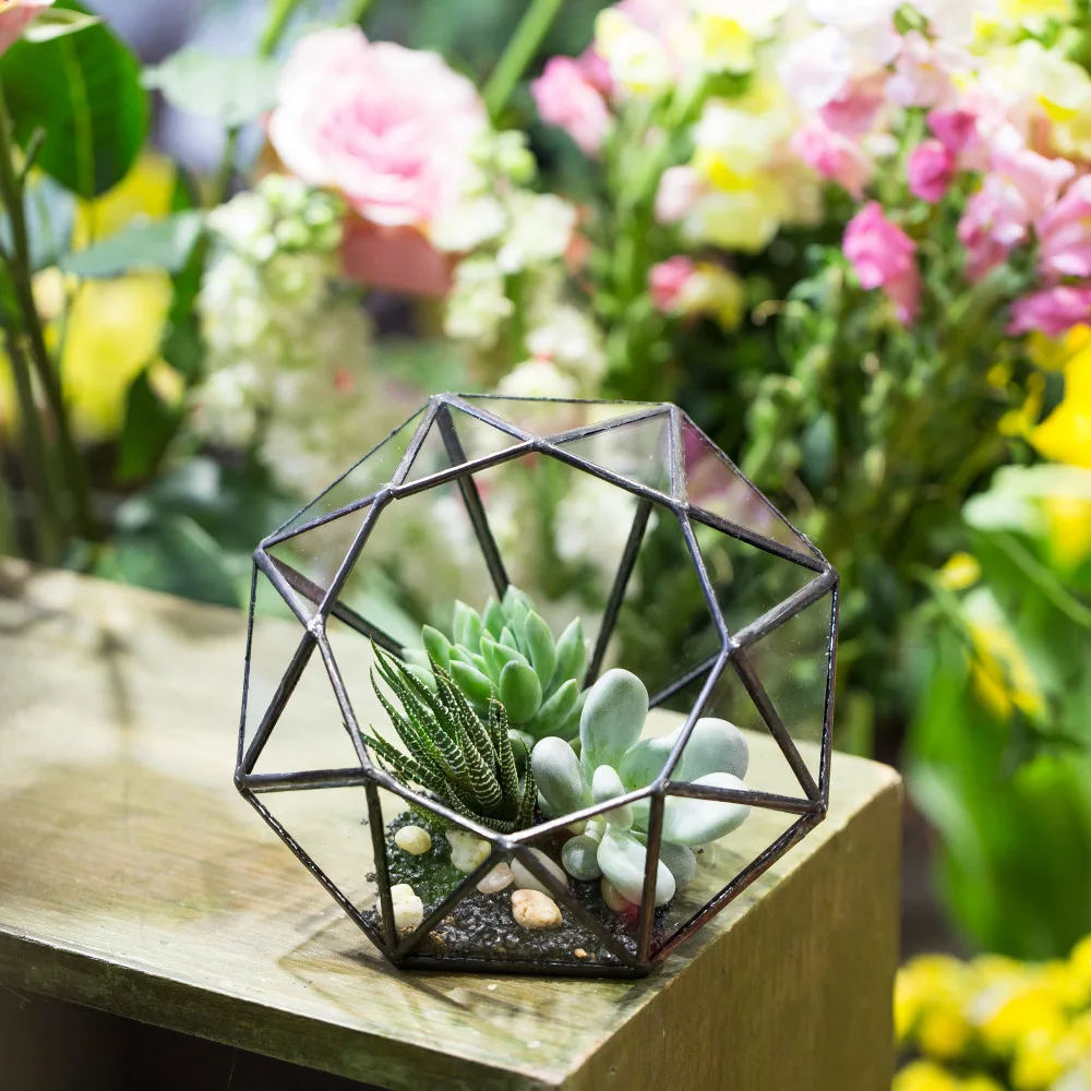 Tabletop Modern Handmade Eight-surface Diamond Geometric Glass Terrarium Pot Planter Box for Container Succulent Plants Flowers
Tabletop Modern Handmade Eight-surface Diamond Geometric Glass Terrarium Pot Planter Box for Container Succulent Plants Flowers