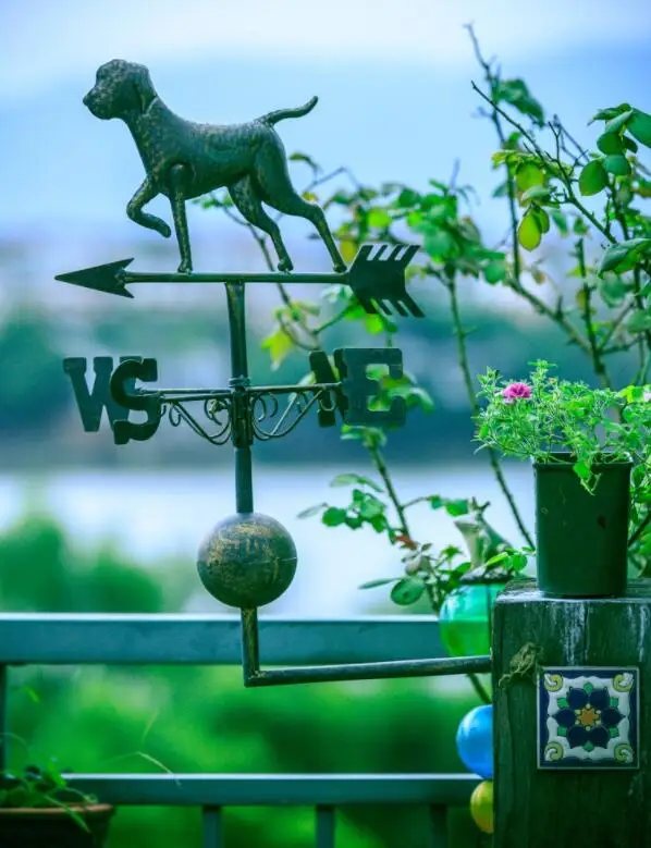 Unique Thickness European Retro Animals Cock,Cat,Puppy Wrought Iron Wind Vane,Garden Decoration Courtyard Groceries,Metalowy
Unique Thickness European Retro Animals Cock,Cat,Puppy Wrought Iron Wind Vane,Garden Decoration Courtyard Groceries,Metalowy