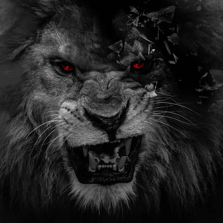 Custom photo wallpaper Living room bedroom animal lion black white wallpaper hotel restaurant Self-adhesive 3D mural
Custom photo wallpaper Living room bedroom animal lion black white wallpaper hotel restaurant Self-adhesive 3D mural