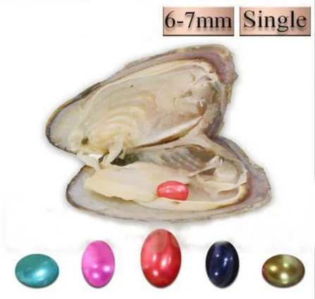 Wholesale 6-7mm Rice Oval Freshwater Pearl Oyster 20 Colors Rice Pearls in Freshwater Oysters Shell Vacuum Package 20pcs ABH768
Wholesale 6-7mm Rice Oval Freshwater Pearl Oyster 20 Colors Rice Pearls in Freshwater Oysters Shell Vacuum Package 20pcs ABH768
