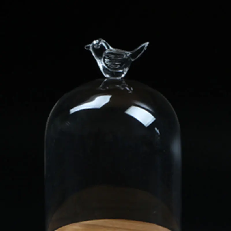 Transparent Glass Wooden Bottom Bird Style Eternal Flower Vase Home Party Festive Decoration
Transparent Glass Wooden Bottom Bird Style Eternal Flower Vase Home Party Festive Decoration