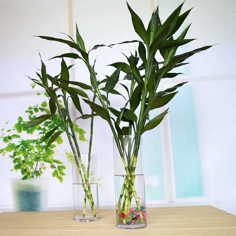 Transparent glass candle holders wedding candles landing straight road lead glass pillar candle holder glass candlestick
Transparent glass candle holders wedding candles landing straight road lead glass pillar candle holder glass candlestick