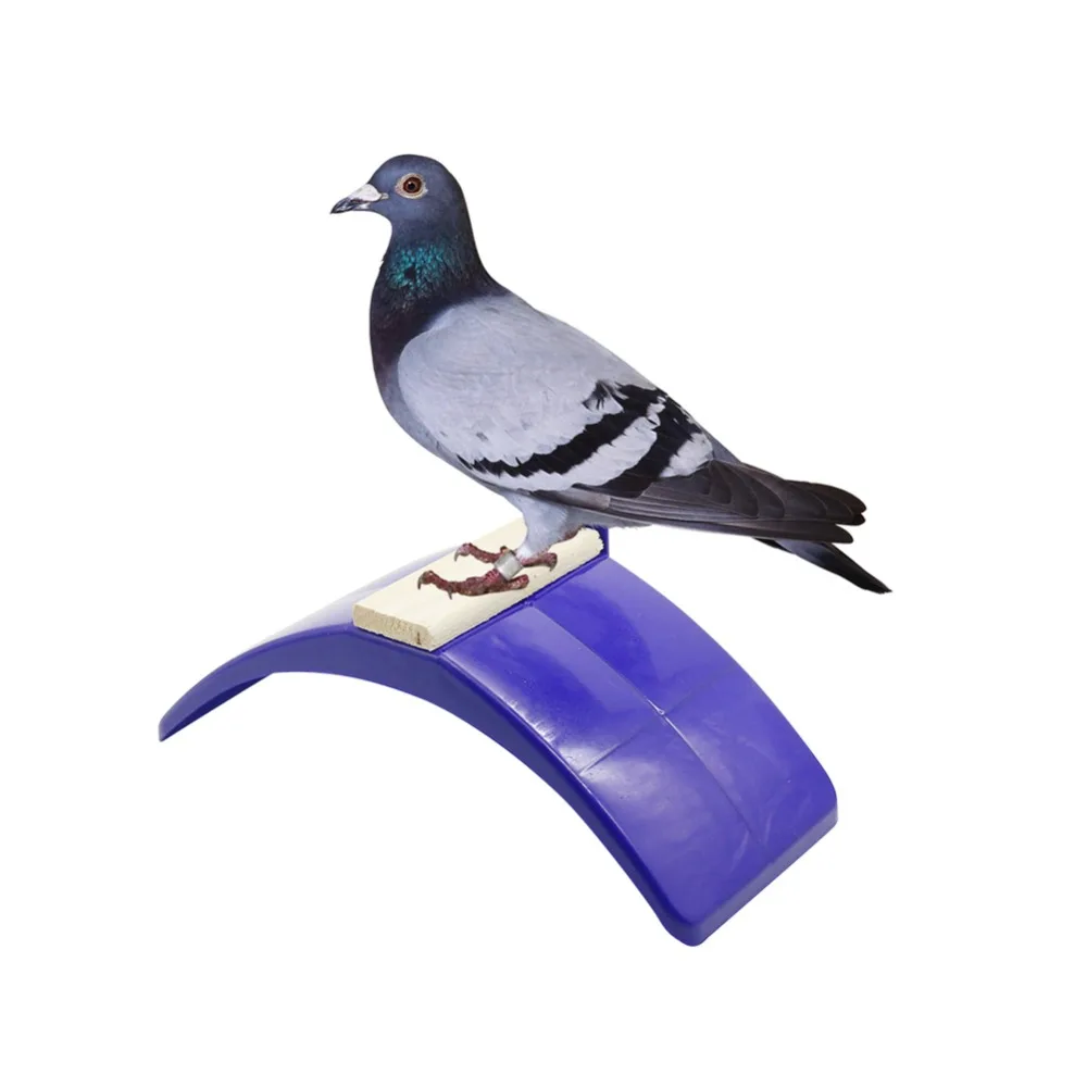 2 Pcs Birdcage Stands Pigeon Perch Plastic Heat Resistance Dove Rest Roost Bird Stand Holder Supplies
2 Pcs Birdcage Stands Pigeon Perch Plastic Heat Resistance Dove Rest Roost Bird Stand Holder Supplies