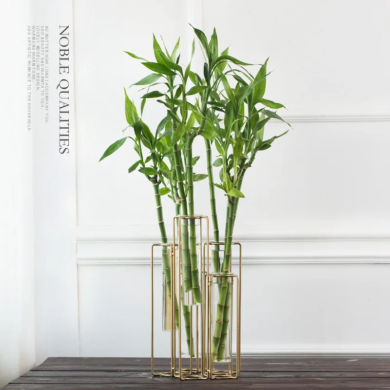 Minimalist style Tabletop Plant Bonsai Flower Glass Vase Wedding Decorative Vase Home Decor Accessories Europe Creative Vases
Minimalist style Tabletop Plant Bonsai Flower Glass Vase Wedding Decorative Vase Home Decor Accessories Europe Creative Vases