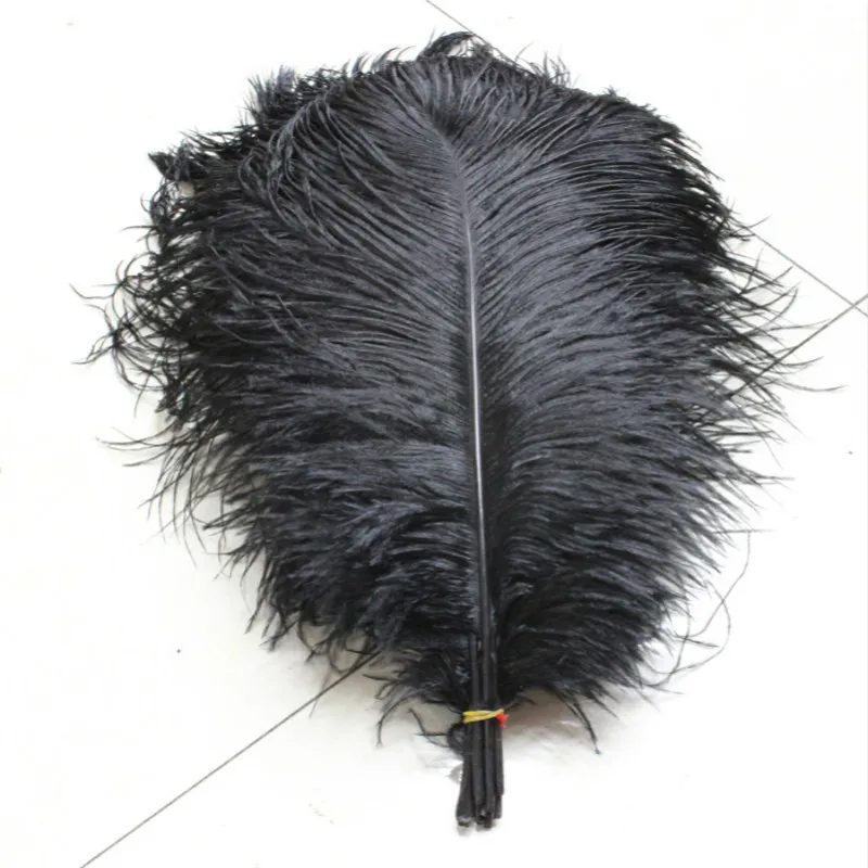 10pcs/lot black Ostrich Feathers 30-35cm / 12-14 inches Wedding decoration Birthday Christmas ostrich plume
10pcs/lot black Ostrich Feathers 30-35cm / 12-14 inches Wedding decoration Birthday Christmas ostrich plume