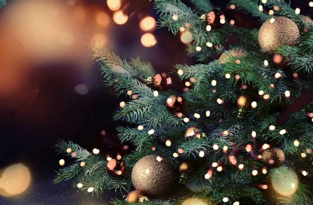 Christmas tree bokeh backdrops Vinyl cloth High quality Computer print party photography studio background
Christmas tree bokeh backdrops Vinyl cloth High quality Computer print party photography studio background