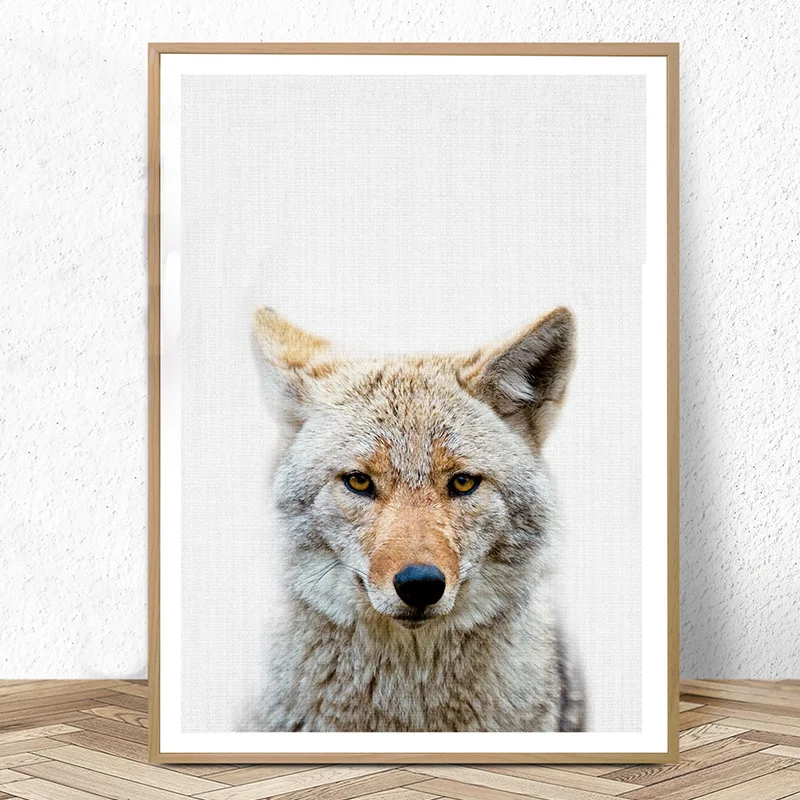 Coyote Print Wolf Nursery Wild Animal Picture Woodland Decor Posters and Prints Canvas Art Painting Boys Kids Bedroom Decoration
Coyote Print Wolf Nursery Wild Animal Picture Woodland Decor Posters and Prints Canvas Art Painting Boys Kids Bedroom Decoration