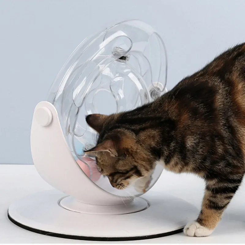 Interactive Pet Cat Toys Game Puzzle Space Ring With Ball Toy Cats Exercise Educational Catching Track Roller Toy
Interactive Pet Cat Toys Game Puzzle Space Ring With Ball Toy Cats Exercise Educational Catching Track Roller Toy