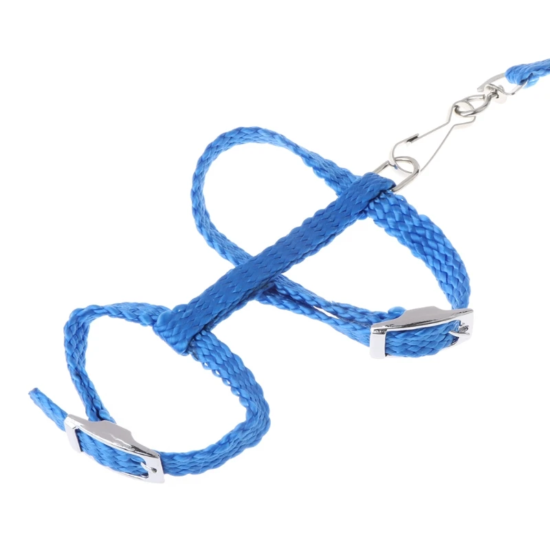 Adjustable hemp rope Hedgehog Harness For Pets Training Playing Traction Rope Cord
Adjustable hemp rope Hedgehog Harness For Pets Training Playing Traction Rope Cord