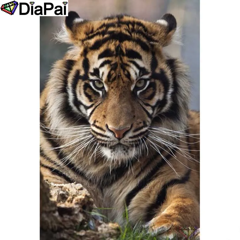 DIAPAI Diamond Painting 5D DIY 100% Full Square/Round Drill "Animal tiger" Diamond Embroidery Cross Stitch 3D Decor A24588
DIAPAI Diamond Painting 5D DIY 100% Full Square/Round Drill "Animal tiger" Diamond Embroidery Cross Stitch 3D Decor A24588