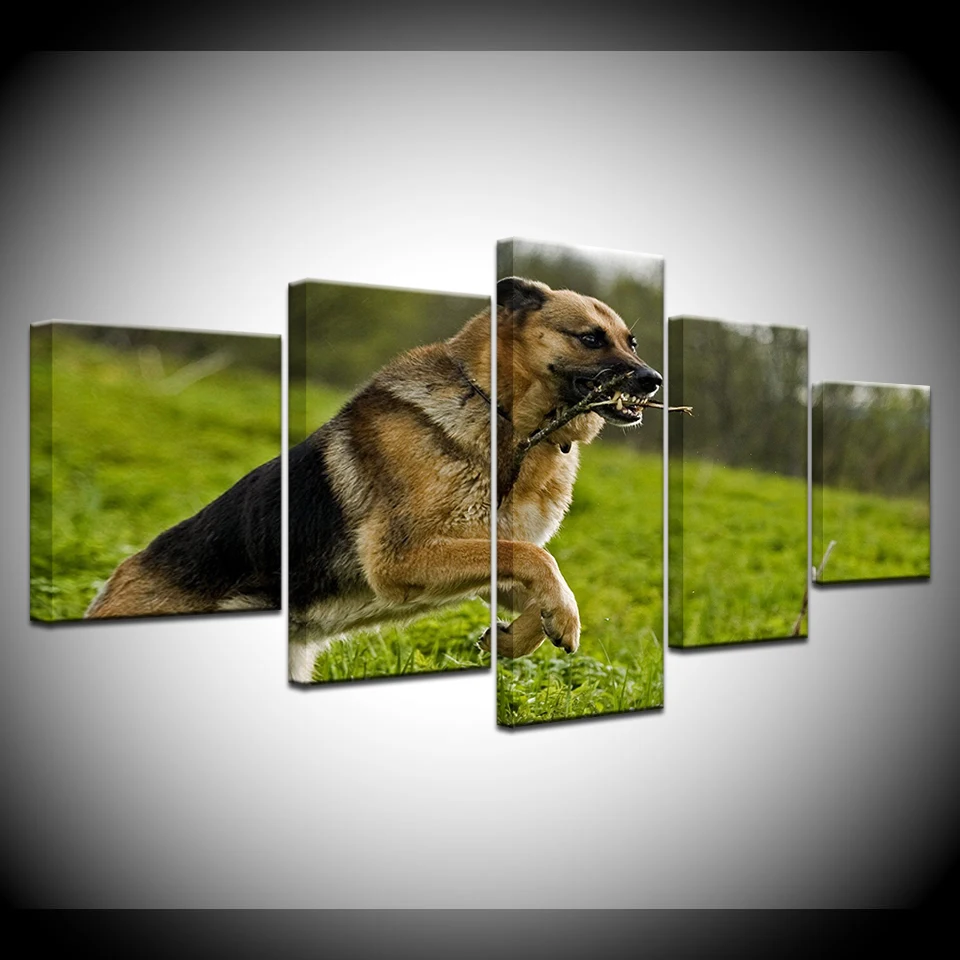 German Shepherd 5 panel HD Print dog animal Poster modern Modular Wall posters Canvas Art painting For home living room decor
German Shepherd 5 panel HD Print dog animal Poster modern Modular Wall posters Canvas Art painting For home living room decor