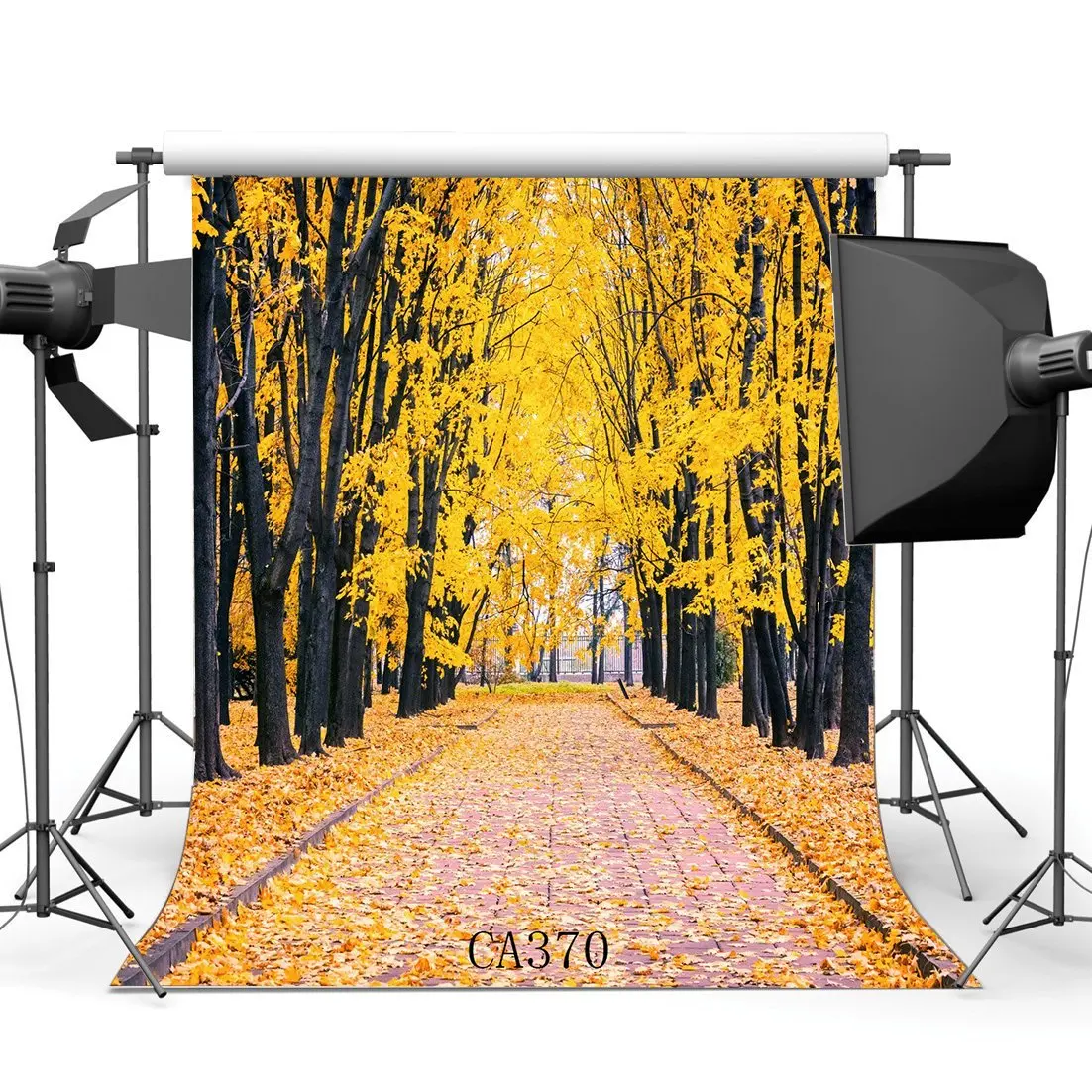 Photography Backdrop Rural Forest Trees Fall Leaves Nature Autumn Scene Portraits Background Photo Studio Prop CA370
Photography Backdrop Rural Forest Trees Fall Leaves Nature Autumn Scene Portraits Background Photo Studio Prop CA370