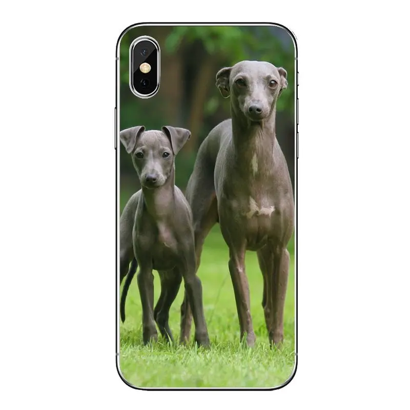 Для iPod Touch iPhone 4 4S 5 5S 5C SE 6 S 7 8 X XR XS Plus MAX galgo greyhound puppy Dog Pets прозрачный мягкий чехол