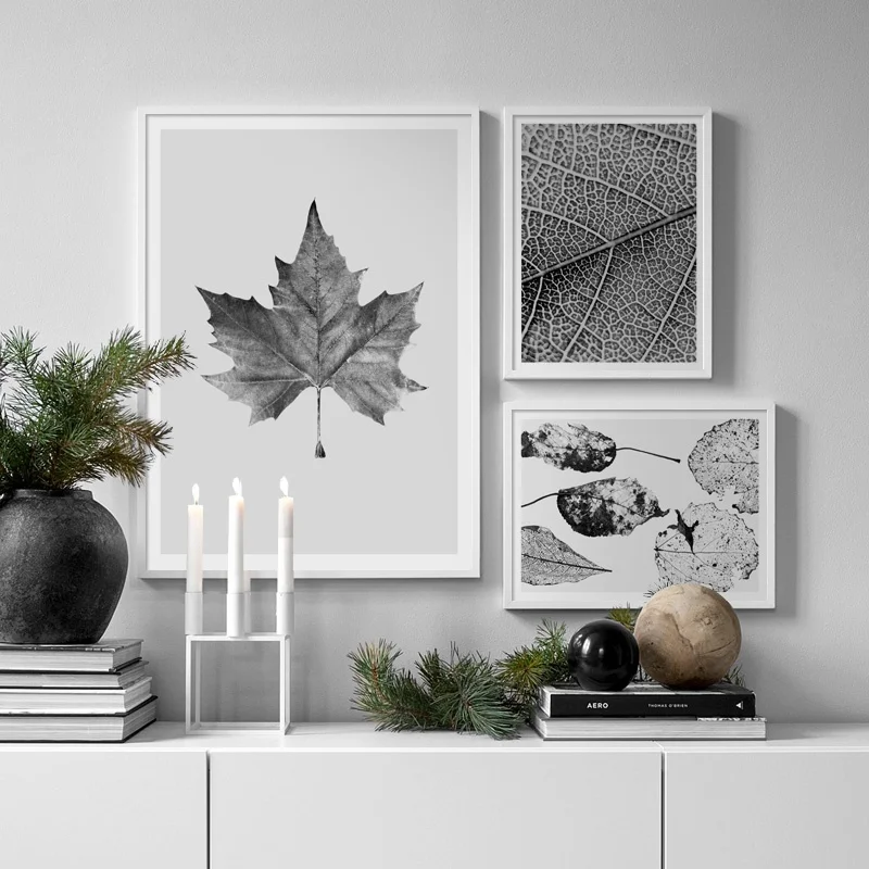 Maple Leaf Vein Texture Wall Art Canvas Painting Nordic Posters And Prints Retro Plant Wall Pictures For Living Room Home Decor
Maple Leaf Vein Texture Wall Art Canvas Painting Nordic Posters And Prints Retro Plant Wall Pictures For Living Room Home Decor