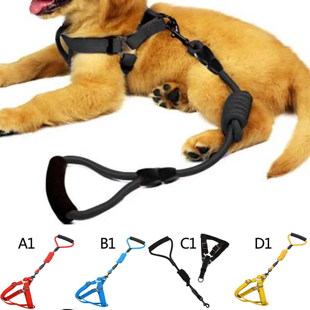 Adjustable Nylon Dog Harness Leash Set Pet Vest Rope Dog Chest Strap Leash Set 4Color Dropshipping
Adjustable Nylon Dog Harness Leash Set Pet Vest Rope Dog Chest Strap Leash Set 4Color Dropshipping
