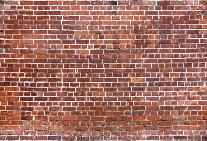 Thin Vinyl Photography Photo Backdrop Brick Wall Personal Portrait Photo Studio Photographic fondos para fotografia
Thin Vinyl Photography Photo Backdrop Brick Wall Personal Portrait Photo Studio Photographic fondos para fotografia