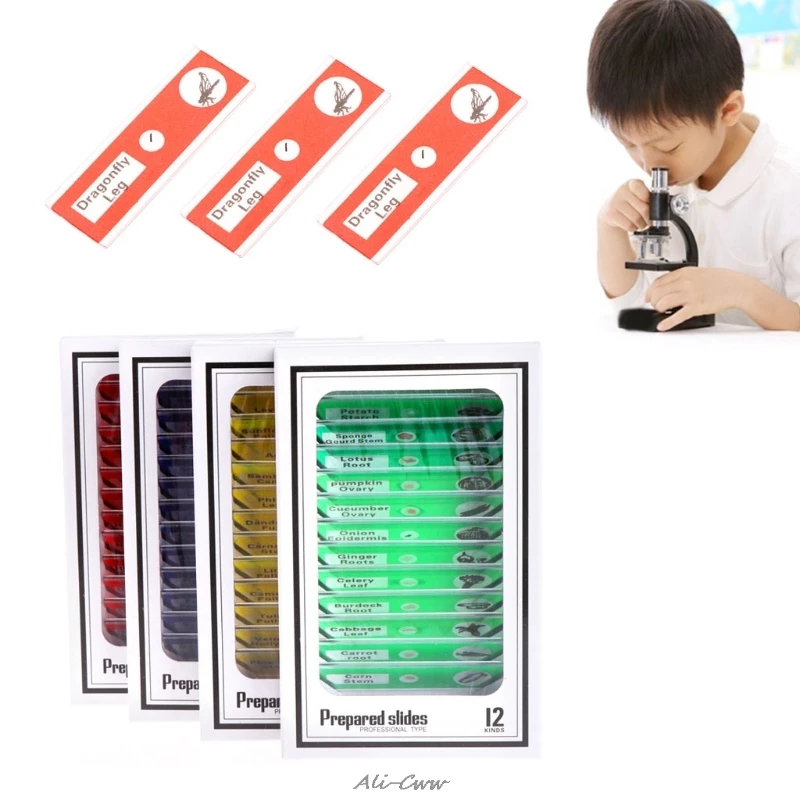 48Pcs/Set Prepared Microscope Slides Specimen Animals Insects Plants Flowers Sample
48Pcs/Set Prepared Microscope Slides Specimen Animals Insects Plants Flowers Sample