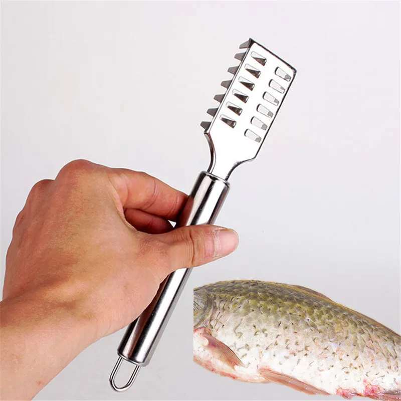 Fish Skin Remover Fast Cleaning Fish Scale Brush Knife Seafood Tools Fish Peeler Scaler Kitchen Utensil
Fish Skin Remover Fast Cleaning Fish Scale Brush Knife Seafood Tools Fish Peeler Scaler Kitchen Utensil