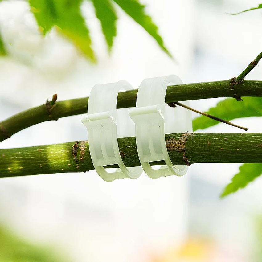 10 Pcs Reusable Plastic Plant Support Clips for Tomato Hanging Trellis Vine Connects Plants Greenhouse Vegetables Garden
10 Pcs Reusable Plastic Plant Support Clips for Tomato Hanging Trellis Vine Connects Plants Greenhouse Vegetables Garden