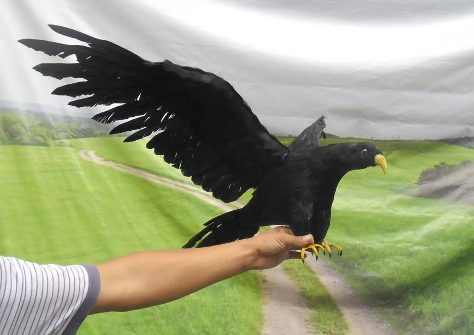 new big simulation black eagle model foam&furs big wings eagle gift about 90x45cm 1120
new big simulation black eagle model foam&furs big wings eagle gift about 90x45cm 1120