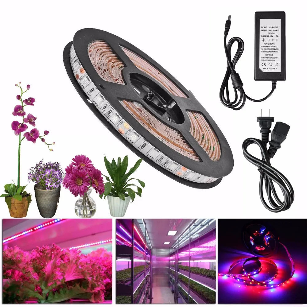 Фото Led grow light полный спектр apollo LED Plant Grow Lights 5 м гибкий для теплицы гидропоники