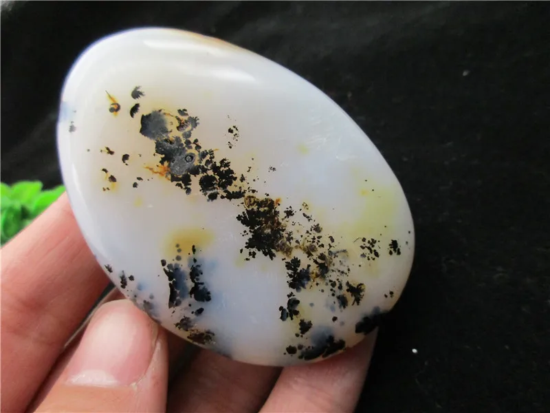 Natural Polished Aquatic Plants Agate Crystal Chakra Healing Reiki Stone Madagascar
Natural Polished Aquatic Plants Agate Crystal Chakra Healing Reiki Stone Madagascar