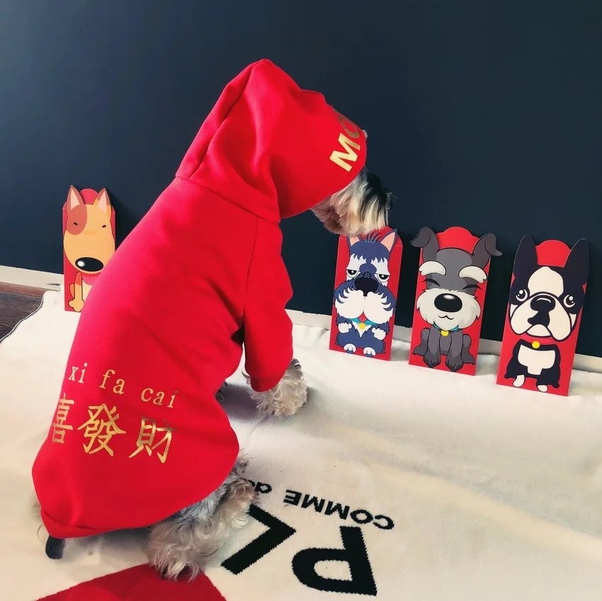Зимняя одежда для домашних животных Gogo Kitty метод ведро Xue Narey Teddy уважаемый гость