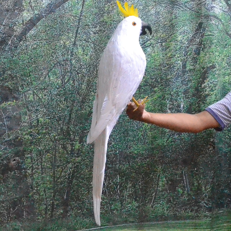 huge simulation white parrot model polyethylene&furs big Cockatoo toy gift about 100cm
huge simulation white parrot model polyethylene&furs big Cockatoo toy gift about 100cm