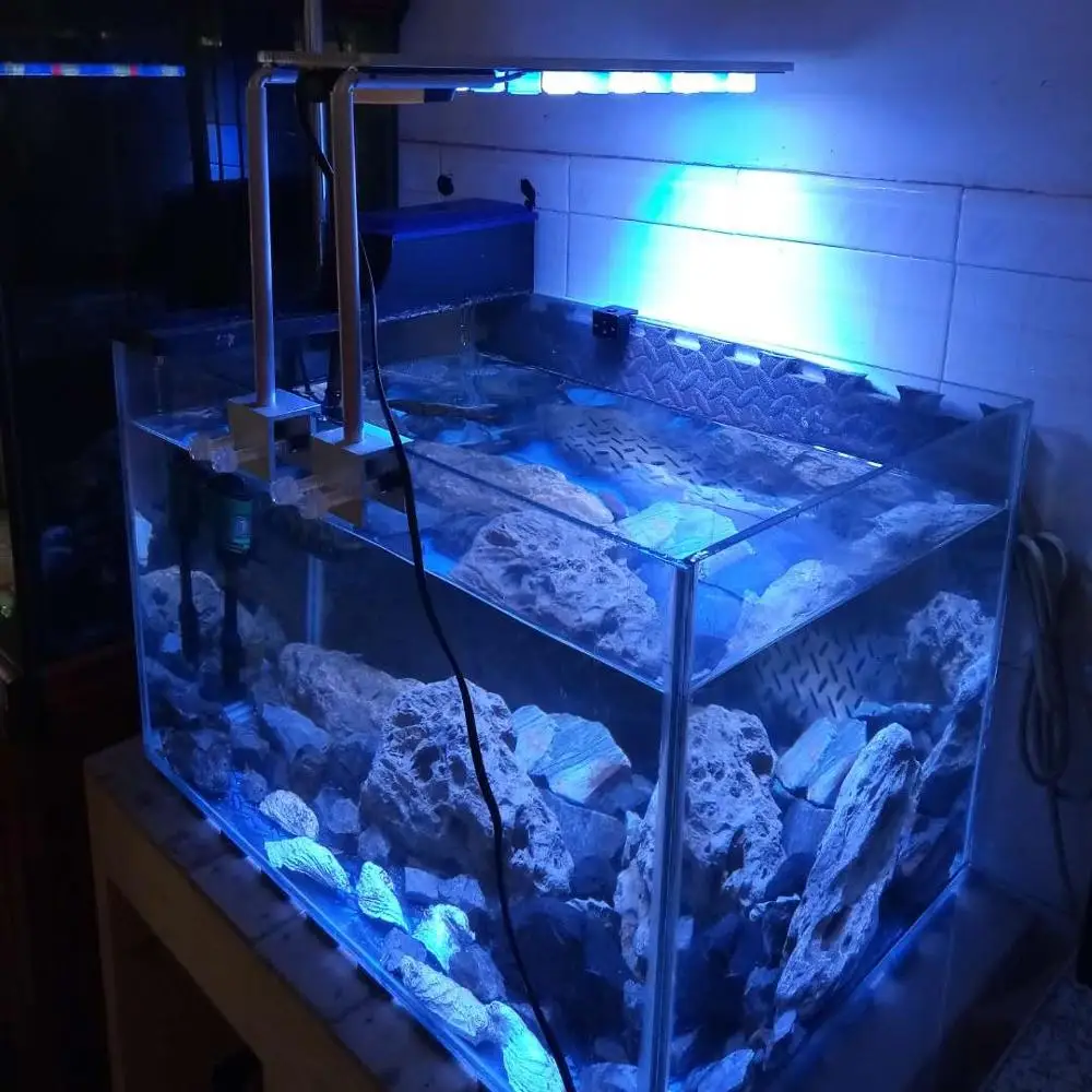 LED Aquarium lighting coral light plant growth bulb DIY handmade lamp Vertical lighting Customize color
LED Aquarium lighting coral light plant growth bulb DIY handmade lamp Vertical lighting Customize color