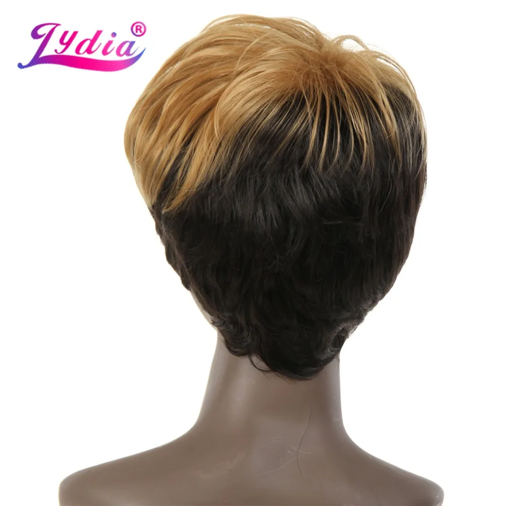 Lydia Synthetic Wigs Mix Color FT2/27 Short Nature Wave For Black African American Wig Brown Blonde Heat Resistant Hair
Lydia Synthetic Wigs Mix Color FT2/27 Short Nature Wave For Black African American Wig Brown Blonde Heat Resistant Hair