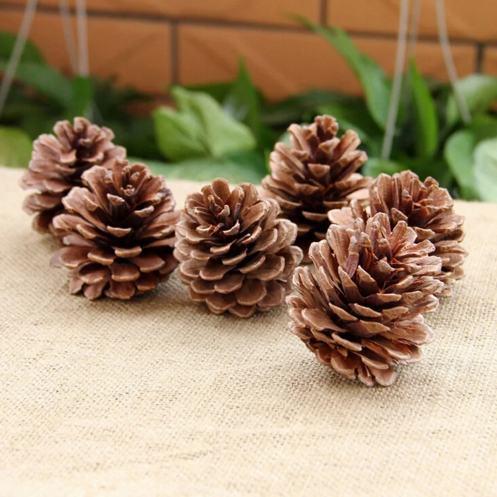 10pcs/lot Christmas Decoration Pine Cones Pinecone Ornament For Home Supplies Xmas New Year Holiday Party Decoration
10pcs/lot Christmas Decoration Pine Cones Pinecone Ornament For Home Supplies Xmas New Year Holiday Party Decoration