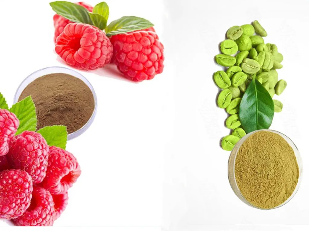 120/240-Raspberry Ketones Ketone & Green Coffee Bean Extract Fa~t Burn loss wieght
120/240-Raspberry Ketones Ketone & Green Coffee Bean Extract Fa~t Burn loss wieght