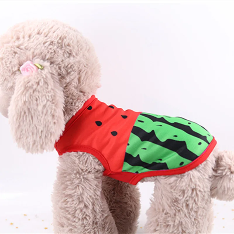 Cute Pet Dog Clothes For Small Dogs Watermelon Printed Puppy Cat Cotton T-shirt Vest Summer Pet Clothing Chihuahua Pug Shirts
Cute Pet Dog Clothes For Small Dogs Watermelon Printed Puppy Cat Cotton T-shirt Vest Summer Pet Clothing Chihuahua Pug Shirts