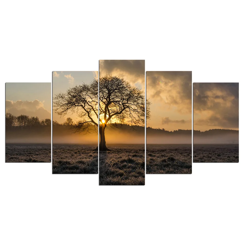 HD Printed 5 Piece Canvas Art Tenacious Tree with Morning Sunlight Prints And Posters Painting Printed On Canvas Art Unframed
HD Printed 5 Piece Canvas Art Tenacious Tree with Morning Sunlight Prints And Posters Painting Printed On Canvas Art Unframed