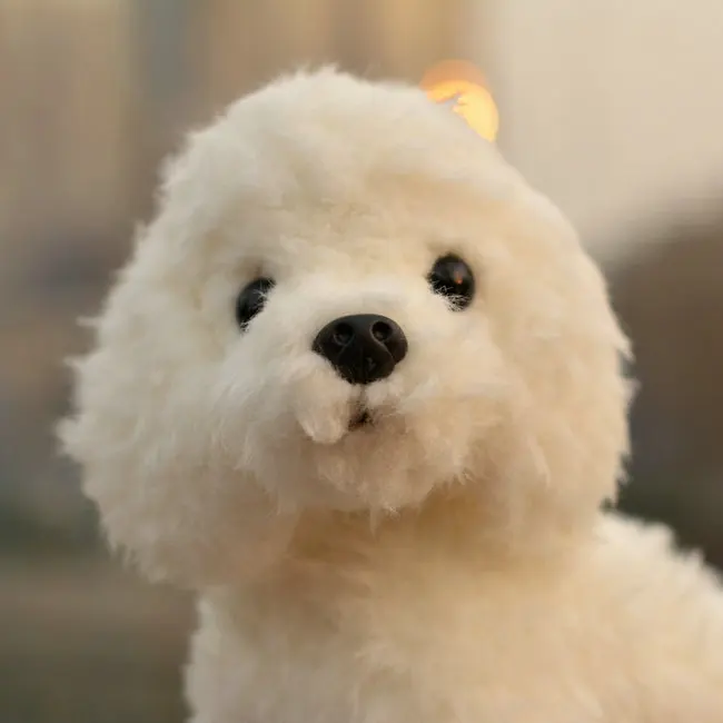 Anime Plush Dog Toys Kawaii Stuffed Animals Dolls For Girls Boys Toys For Children Kids Gifts Brinquedos Pomeranian
Anime Plush Dog Toys Kawaii Stuffed Animals Dolls For Girls Boys Toys For Children Kids Gifts Brinquedos Pomeranian