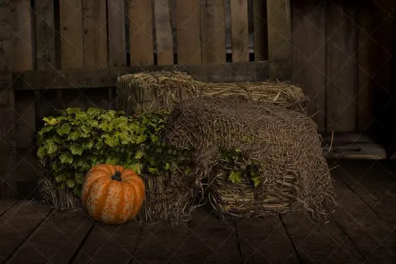 Halloween Fall Autumn Pumpkin Haystack backdrops High quality Computer print newborn baby background
Halloween Fall Autumn Pumpkin Haystack backdrops High quality Computer print newborn baby background