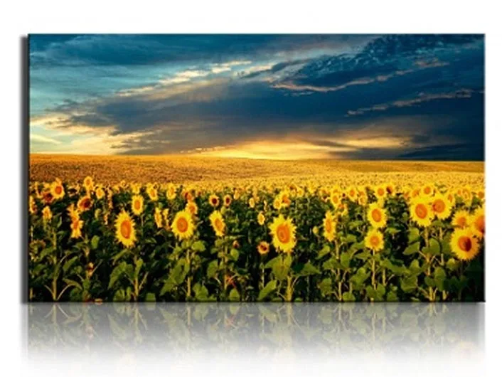 1Pieces Picture Painting Wall Art Room Decor Print Poster Sunflower series Wall Pictures for Living Room Canvas Painting Framed
1Pieces Picture Painting Wall Art Room Decor Print Poster Sunflower series Wall Pictures for Living Room Canvas Painting Framed