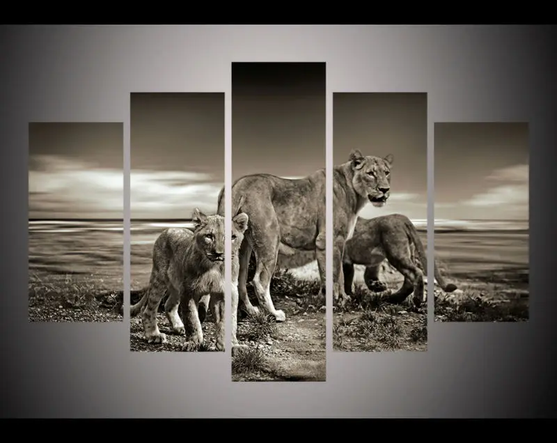 5 panel HD printed modular canvas painting Wild Lions canvas print art modern home decor wall art picture for living room
5 panel HD printed modular canvas painting Wild Lions canvas print art modern home decor wall art picture for living room