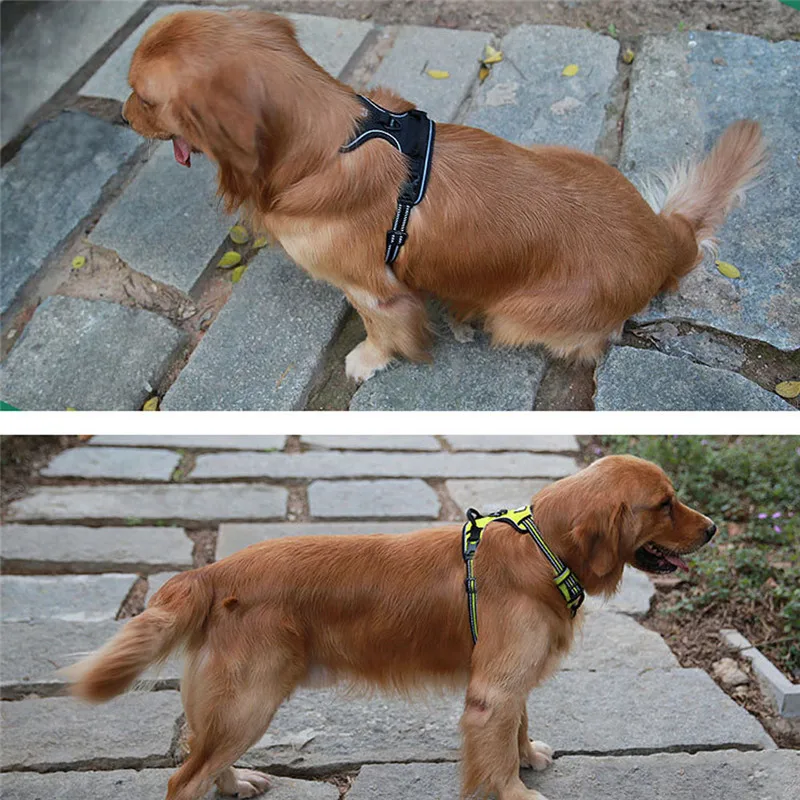 New Fluorescent colors Oxford Large Dog Pet Outdoor 3meter Reflective No Pull Padded Harness Vest with Handle
New Fluorescent colors Oxford Large Dog Pet Outdoor 3meter Reflective No Pull Padded Harness Vest with Handle
